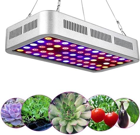 Licht Für Zimmerpflanzen
